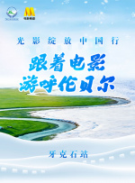 青草视频在线免费观看